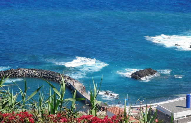 Oceanic Apartments - Photo 22