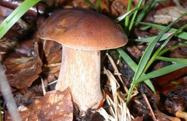 Hotel Residence Margherita - Foto 16