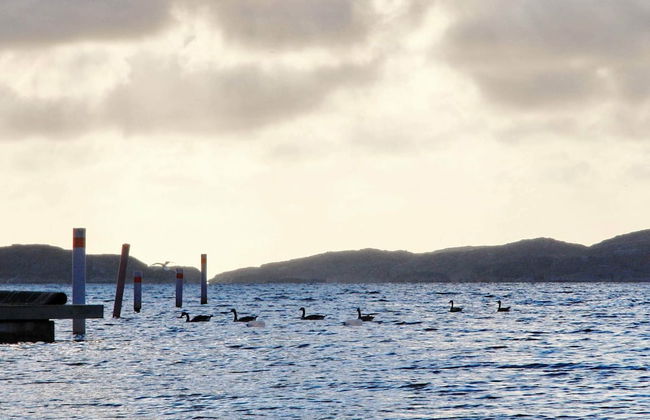 4 Person Holiday Home in Ellos - Foto 11