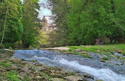 Le Moulin de L'O - L'Orle Rose - Foto 33