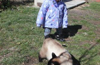 Las Tejeruelas Casa Rural - Foto 57