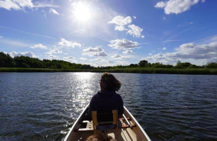 Ferienwohnungen am Krakower See - Foto 34