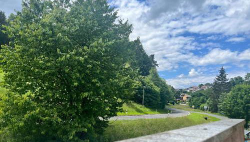 Timber Suite - near Rußweiher - Foto 3