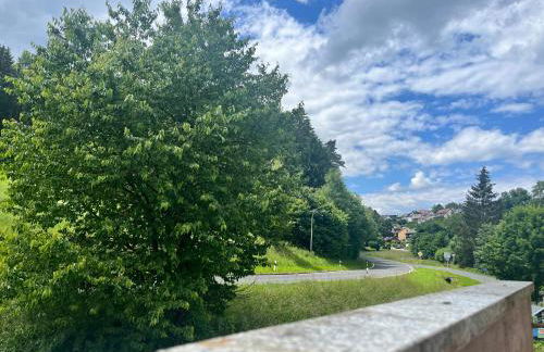 Timber Suite - near Rußweiher - Foto 3