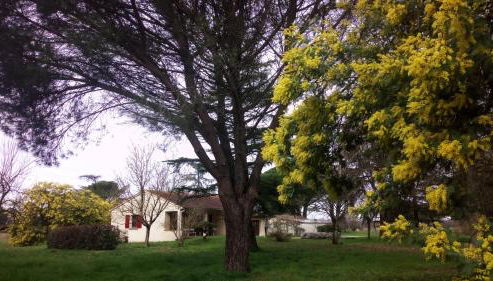 Les Mimosas - Foto 3, Garden view