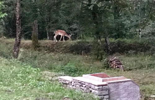 Casa Vacanze MULINO DI VALIANA - Foto 15