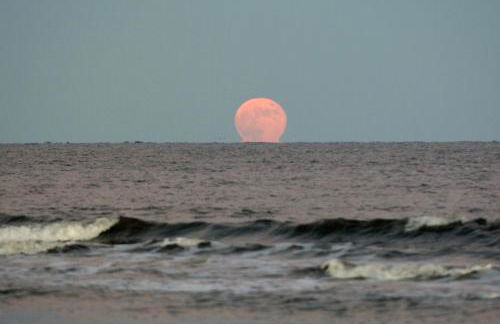 Spacious Condo in the Heart of Hilton Head - Foto 60