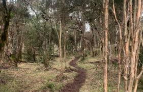 Cabana Recanto dos Aparados - Foto 11