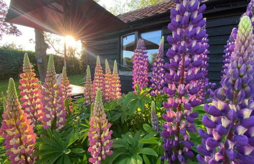 The Little Barn - Foto 72