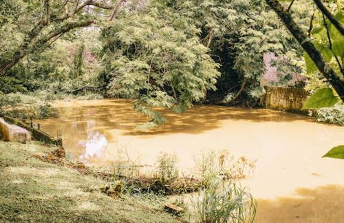 Sitio só Alegria com roupas de cama e banho - Foto 51