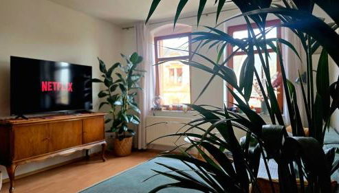 Zentrale & ruhige Stadtwohnung nahe Hbf und Uni - Foto 2