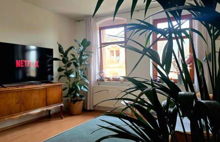 Zentrale & ruhige Stadtwohnung nahe Hbf und Uni - Foto 2