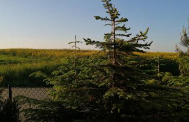 Sanspow - SPA pod Gwiazdami - Foto 43