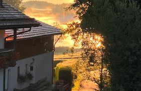 Haus Elfriede Schmid - Foto 11