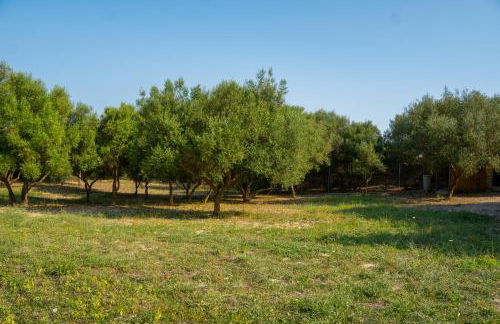 Ses Cases d'Alcudiola - Foto 53