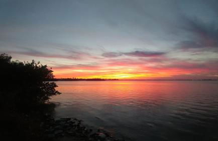 Patio Unit! Southern Exposure! - Foto 1