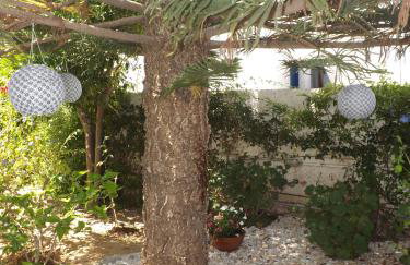 Marioly Studios - Foto 41