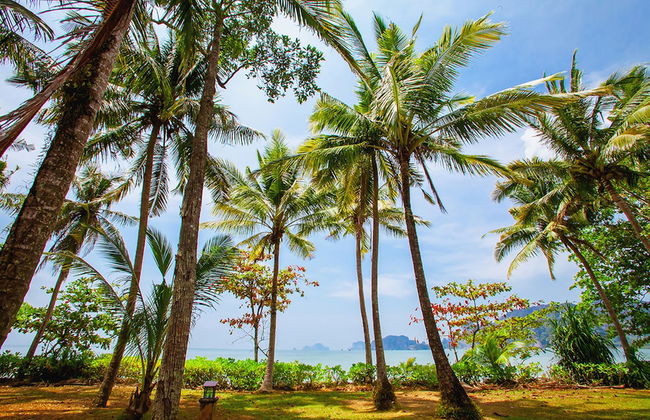 Amatapura Beach Villa 1 - Photo 31