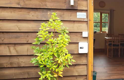 Seven Stars- hot tub & garden with fabulous views. - Photo 7