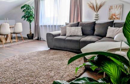 Blackforest Apartment Schömberg - Foto 1