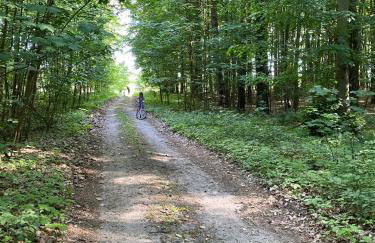 Ferienwohnung Irmchen - Foto 18