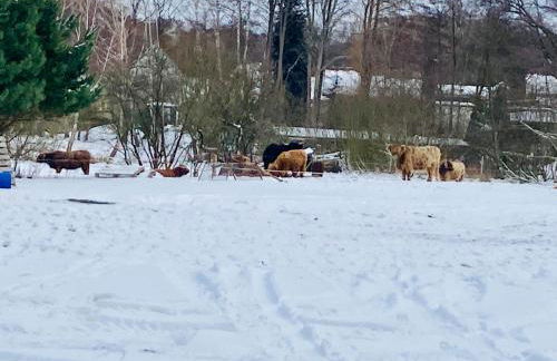 Ferienhaus am Schwielochsee - Foto 54