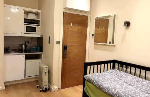 301 Self contained studio in heart of London - Foto 11