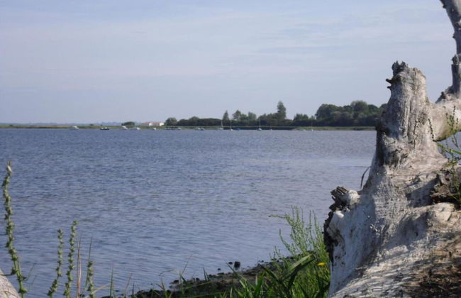 Bungalow in Boiensdorf for 4 Person - Foto 36