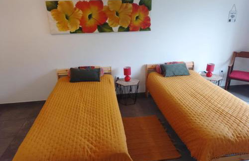 Nova Aurora - Foto 24