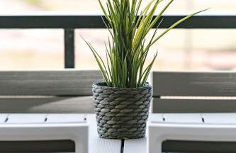 MalagadeVacaciones - Valera - Photo 18