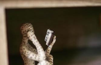 The Fun House - Parking - 2 King Bed, Massage Chair - Foto 42