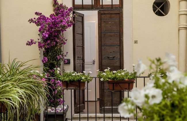 Navona Elite - Foto 22