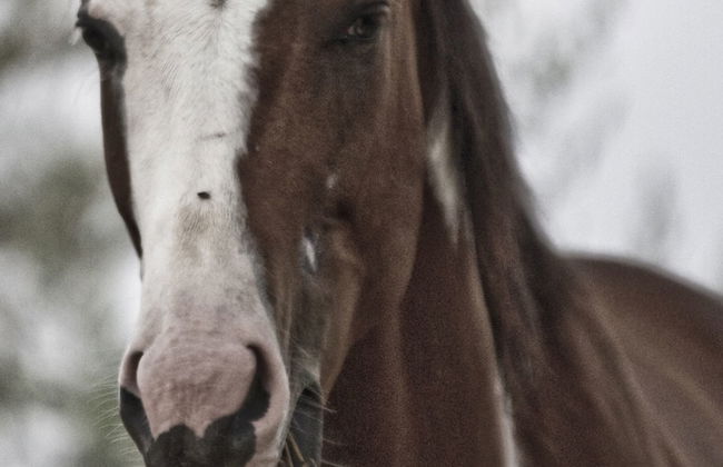 Montelucci Country Resort & Agriturismo di Charme - Foto 26