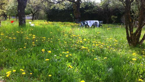 Les Fourges - Foto 2, Garden