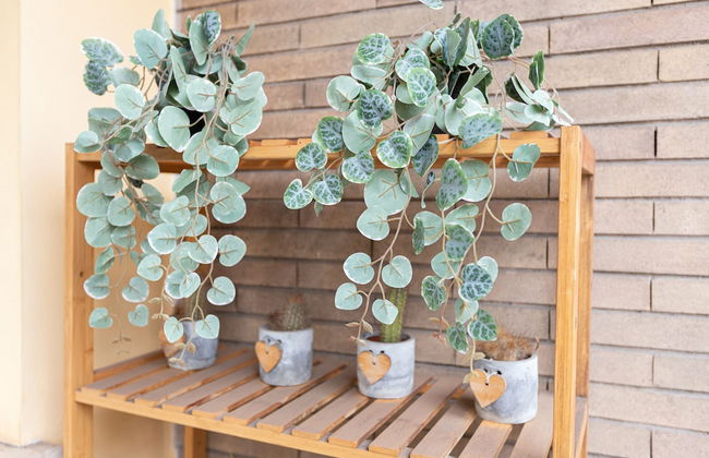 247 LuxuryRooms - Foto 65