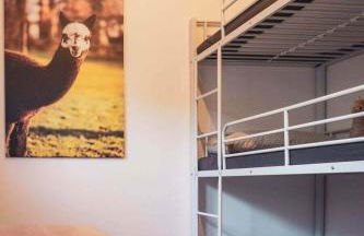 Ferienwohnung Sternenzelt Alpakas - Natur & Tiere hautnah erleben - Foto 22