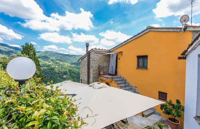 Poggetto 2 - Foto 24