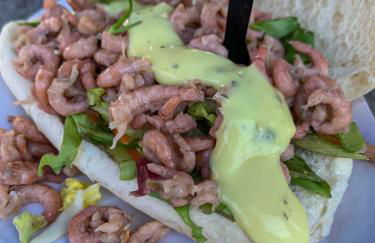 Polderhaus Deichblick direkt am Dullart - Foto 28