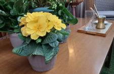 115m2 K.G HOME - Foto 38