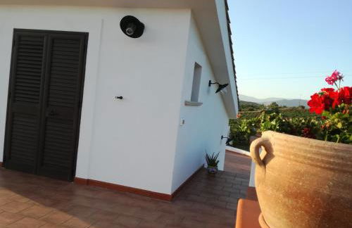 villa peppino - Foto 30