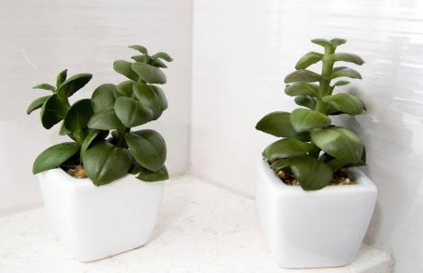 Apartment Sabioncello - Photo 26