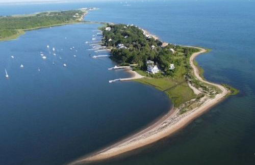 The Dragonfly - Planting Island - Photo 1