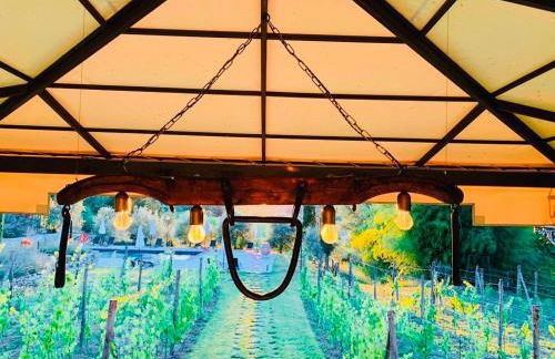 Agriturismo Borgo Il Bonagino - Foto 9