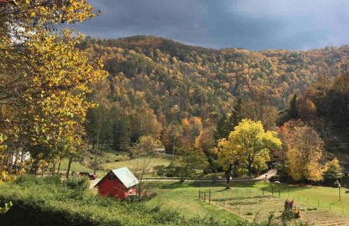 Barn Vibes + Petting Zoo + Hot Tub! - Foto 12