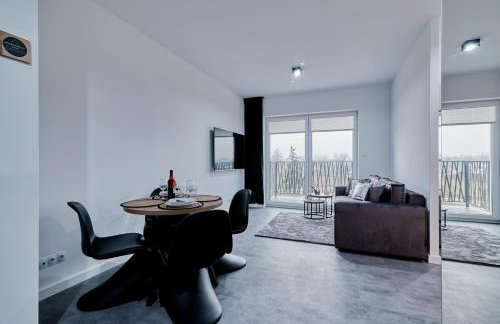 Apartament Sztuk Pięknych 10 - Foto 16