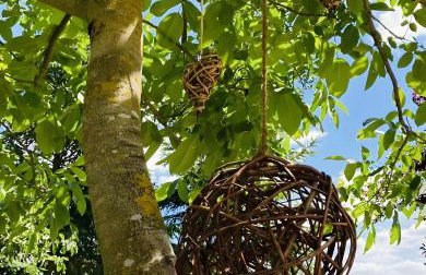 Entspannungszeit am Kluger See - Foto 12