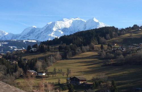 Luxury 2 Bedroom Apartment with view of Mont Blanc - Foto 8