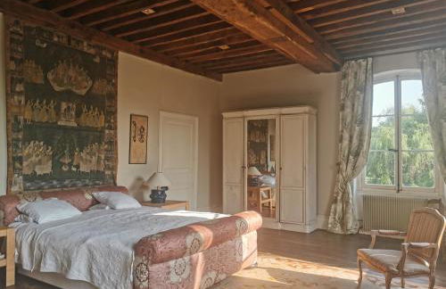 Château Le Brun - Loire Valley and vineyards - Foto 69