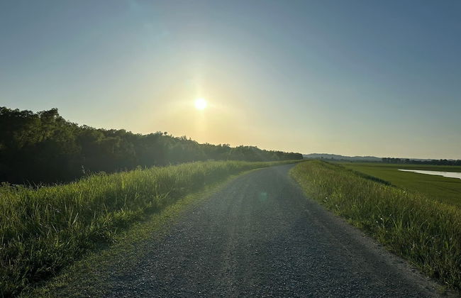 The Mercantile on the Katy Trail - Photo 37
