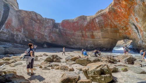Coastal Garden - Anchor Pier Lodge - Photo 2